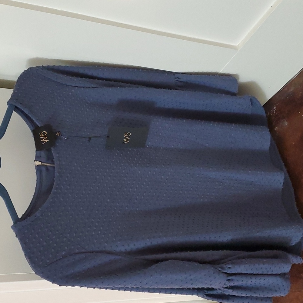 W5 Blue Blouse